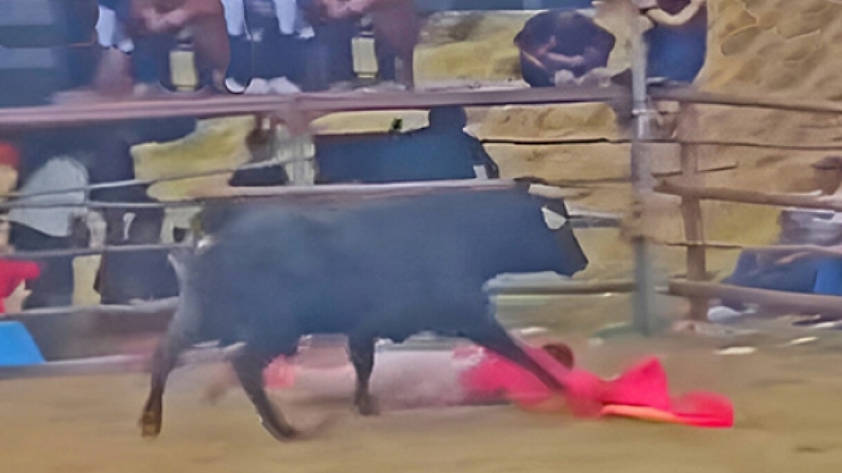 47d054a73e17e850da22d07c18671d9d_L[1]